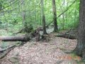 fowlers hollow.Laural run 06-09-14 071